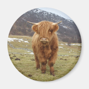 Stolz, Schottin zu sein! Magnet