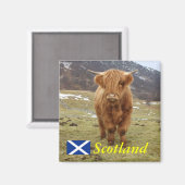 Stolz, Schottin zu sein! Magnet (Vorderseite/Rückseite)