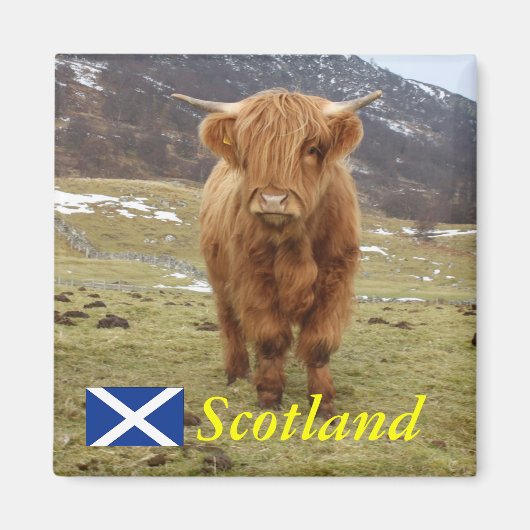 Stolz, Schottin zu sein! Magnet (Vorne)