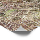 Stolz, Schottin zu sein! Poster (Ecke)