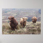 Stolz, Schottin zu sein! Poster (Vorne)