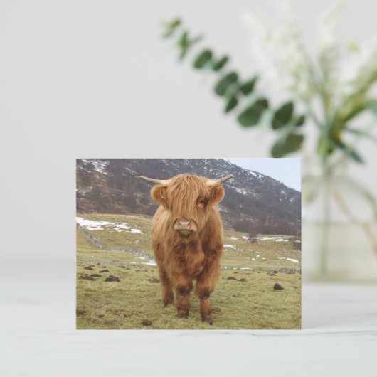Stolz, Schottin zu sein! Postkarte (Stehend Vorderseite)
