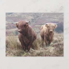 Stolz, Schottin zu sein! Postkarte