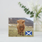 Stolz, Schottin zu sein! Postkarte (Stehend Vorderseite)