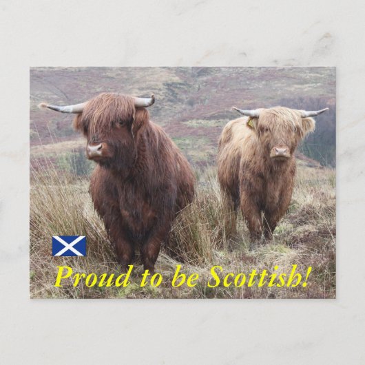 Stolz, Schottin zu sein! Postkarte (Vorderseite)