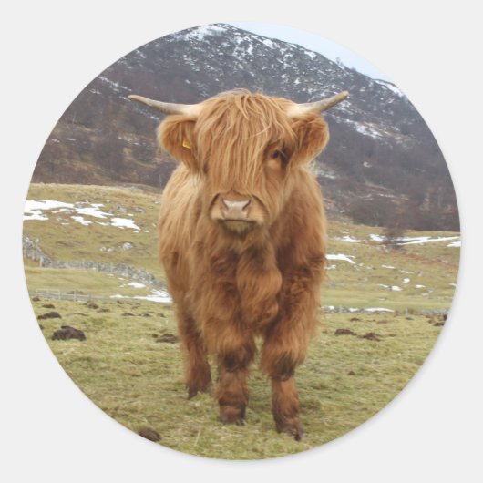 Stolz, Schottin zu sein! Runder Aufkleber (Vorderseite)