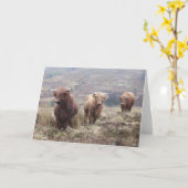 Stolz, schottisch zu sein! karte (Gelbe Blume)