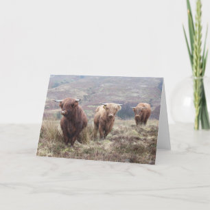 Stolz, schottisch zu sein! karte