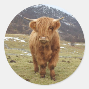 Stolz, schottisch zu sein! runder aufkleber