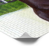 Stolz und Freude Amerikanisches Saddlebred Horse P Poster (Ecke)