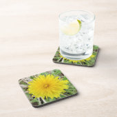Stolze Dandelion-Blume. Getränkeuntersetzer (Rechte Seite)