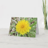 Stolze Dandelion-Blume. Karte (Vorderseite)