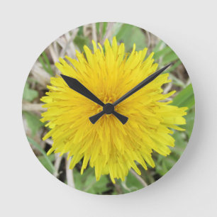 Stolze Dandelion-Blume. Runde Wanduhr