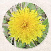 Stolze Dandelion-Blume. Runder Pappuntersetzer (Vorderseite)