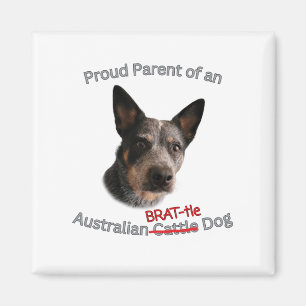 Stolze Eltern des australischen Bruchhundes Strike Magnet