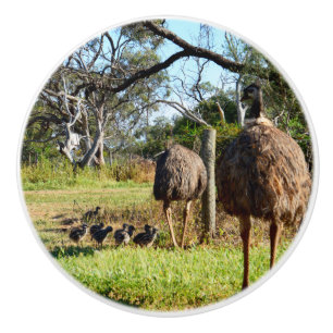 stolze EWU-Eltern mit Küken, Keramikknauf