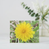 Stolze Löwenzahnblüte. Postkarte (Stehend Vorderseite)
