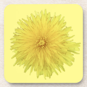 Stolze Löwenzahnblüte - transparent. Getränkeuntersetzer