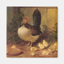 Stolze Mutterhenne und ihre Hühner (Baby Chickens)