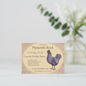 Stolze Plymouth Rock-Hahn-Geflügelfarm Visitenkarte (Stehend Vorderseite)