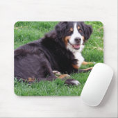 Stolze Serena Mousepad (Mit Mouse)