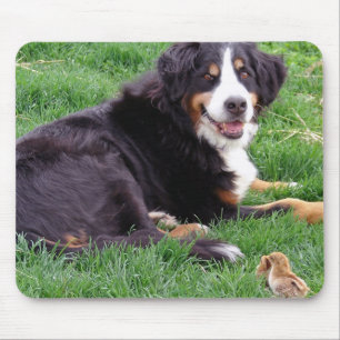 Stolze Serena Mousepad