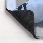 Stolze Zieltaube Mousepad (Ecke)