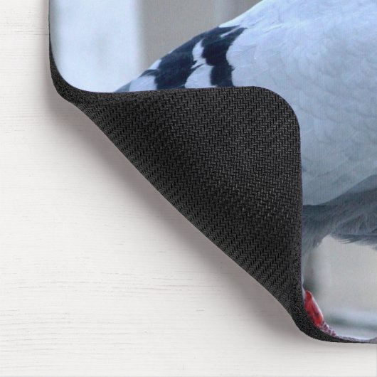 Stolze Zieltaube Mousepad (Ecke)
