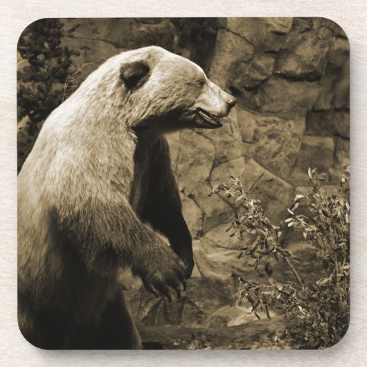 Stolzer Bär Getränkeuntersetzer (Vorderseite)