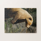 Stolzer Bär Puzzle (Horizontal)