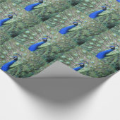 Stolzer Pfau Geschenkpapier (Ecke)