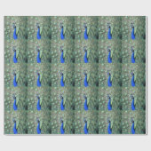 Stolzer Pfau Geschenkpapier (Flach)