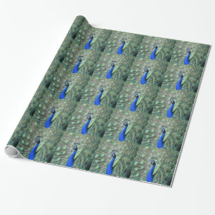 Stolzer Pfau Geschenkpapier