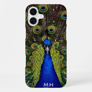 Stolzer Pfau individuell gestaltete Handy-Hüllen m iPhone 16 Plus Hülle