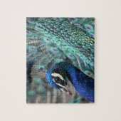 Stolzer Pfau Puzzle (Vertikal)