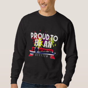 Stolzer Software-Entwickler Bürger Beruf Karriere Sweatshirt