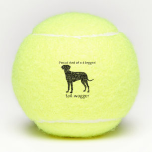 Stolzer Vater eines Vierbeiners Tennisbälle
