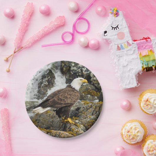 Stolzer Weißkopfseeadler Pappteller (Party)