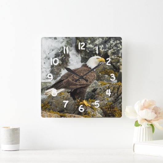 Stolzer Weißkopfseeadler Quadratische Wanduhr (Zuhause)