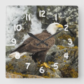 Stolzer Weißkopfseeadler Quadratische Wanduhr (Vorderseite)