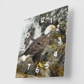 Stolzer Weißkopfseeadler Quadratische Wanduhr (Winkel)