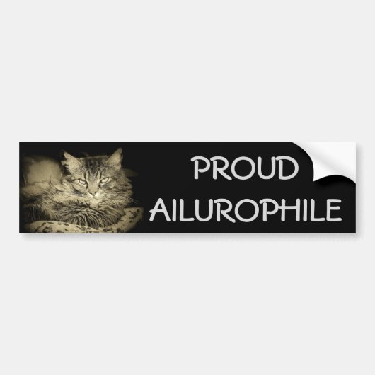 Stolzes Ailurophile (Katzen-Liebhaber) Autoaufkleber (Vorne)