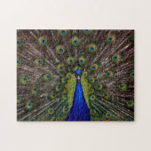 Stolzes Pfau-Fotopuzzlespiel Puzzle (Horizontal)