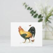 Stolzes Rooster mit Hühnern und Hühnern. Postkarte (Stehend Vorderseite)