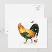 Stolzes Rooster mit Hühnern und Hühnern. Postkarte (Vorne/Hinten)