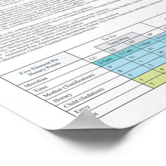 Stomach Meridian Acupuncture Points Poster (Ecke)