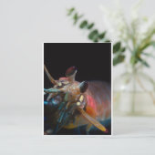 Stomatopod (Mantis Shrimp) Postkarte (Stehend Vorderseite)
