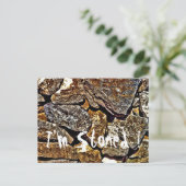 Stone Abstrakt Postkarte (Stehend Vorderseite)