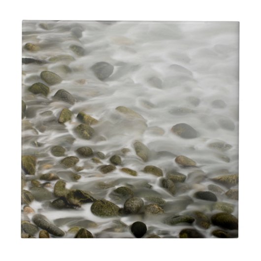 Stone Beach| Point Lobos Staat Reserve, CA Fliese (Vorderseite)
