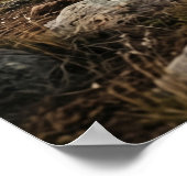 Stone Bison Endless Plains Poster (Ecke)